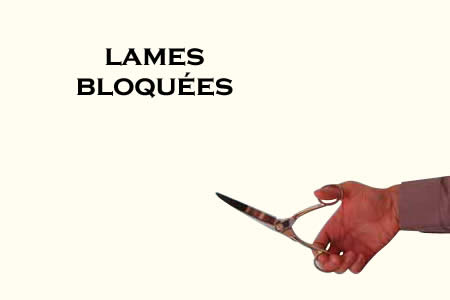 Ciseaux magiques à lames bloquées