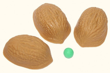 Coquilles de noix