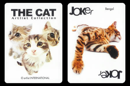 Cats BICYCLE Deck