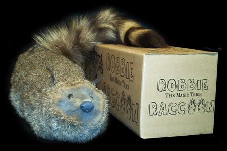 Robbie le raccoon + DVD
