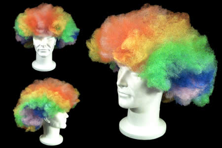 Multicolor Afro Wig