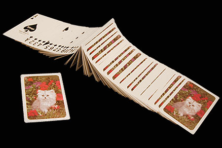Illustrated TRUMP Deck - Cat & flowers Illustrated TRUMP Deck - Cat & flowers