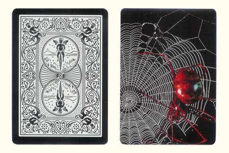 Spider on the Spider web BICYCLE Card