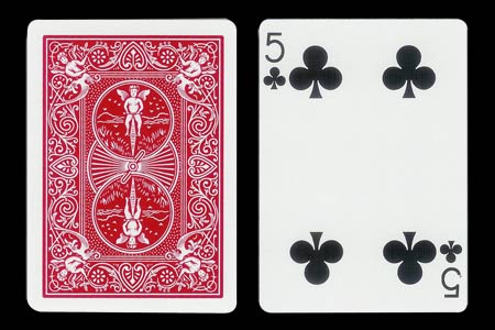 5 of Clubs with 1 Clubs missing BICYCLE Tiger Card