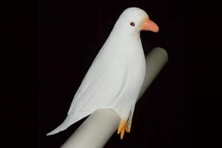 Fake Sponge Dove