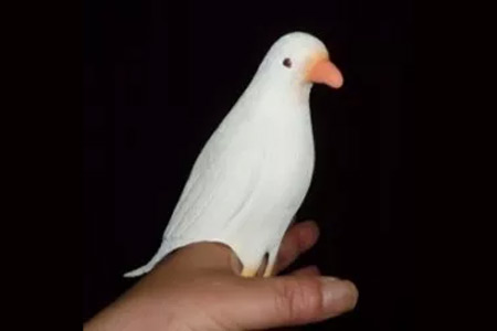 Fake Sponge Dove