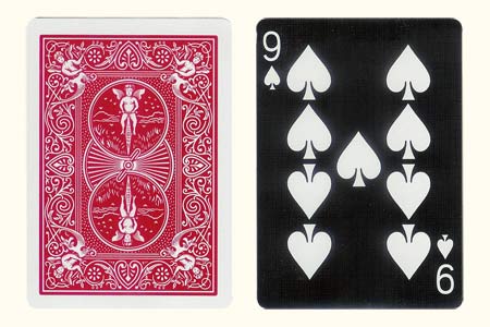 Red Back BICYCLE Card with Tiger 9 of Spades Face