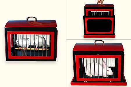Transformation de cage à colombes en cage à lapi - tora-magic