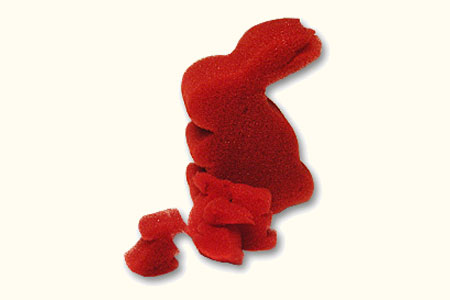 Mister rabbit