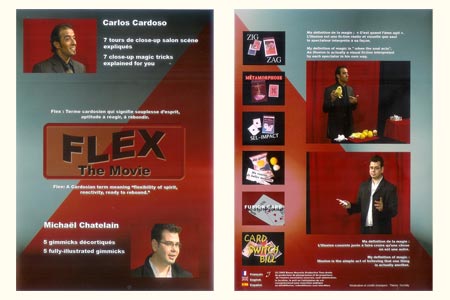 DVD Flex The Movie - mickael chatelain