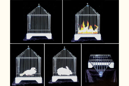 Automatic fire cage (3 usages) - tora-magic
