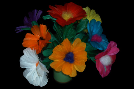 Bouquet 9 fleurs - tora-magic