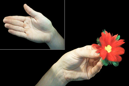 Feather Flower On Finger Tips