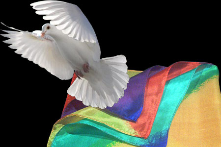 Apparition de foulard et colombe - alban william