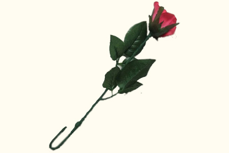 D'lite Rose (Red)