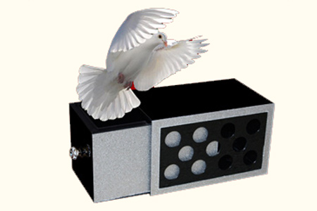 Dove drawer box (trouée)