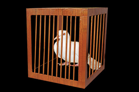 Appearing dove cage from every place - tora-magic