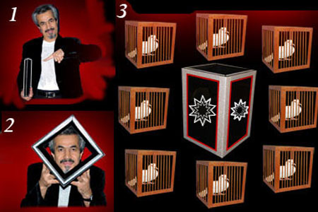Appearing 8 doves cages from empty frame