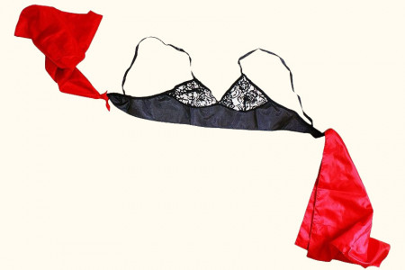 20th Century Brassiere Deluxe