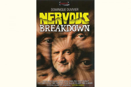 Nervous Breakdown 2.0 - dominique duvivier