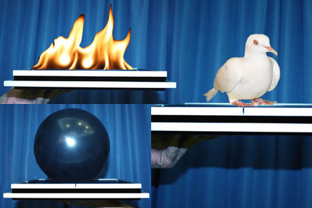 Balloon / Fire and dove tray - tora-magic