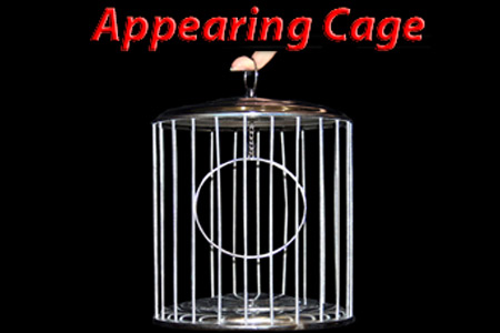 Appearing cage (NO 1)