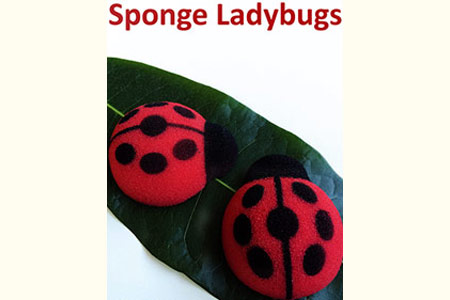 Sponge Ladybugs - alan wong