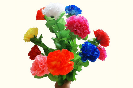 Bouquet à apparition Eco (12 Fleurs)