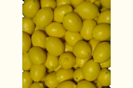 Rubber Lemon