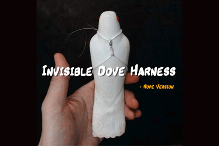 Invisible Dove Harness