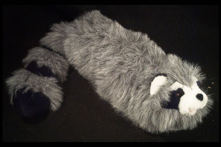 Roxie Raccoon