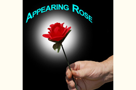 Apparition d'une petite Rose