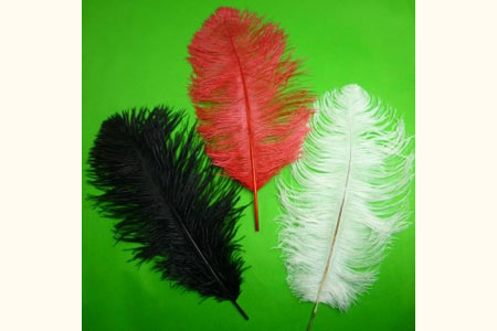 Ostrich Feathers For Appearing Cane and Vanish Can