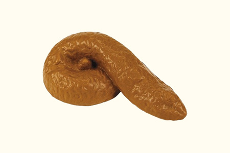 Fake Poop Stress Toy