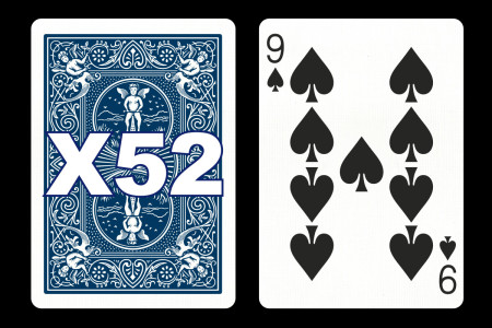 Forcing Bicycle Deck (9 of Spades) Forcing Bicycle Deck (9 of Spades)