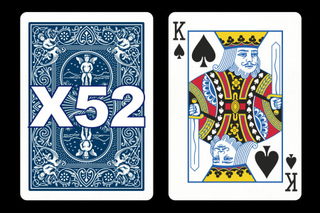 Forcing Bicycle Deck (King of Spades) Forcing Bicycle Deck (King of Spades)