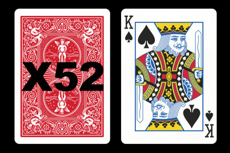 Forcing Bicycle Deck (King of Spades) Forcing Bicycle Deck (King of Spades)