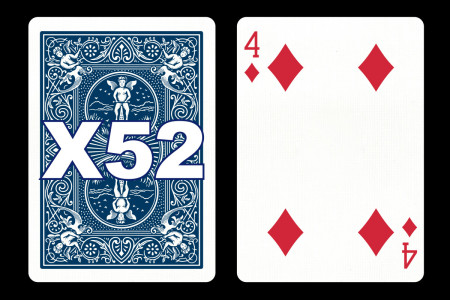 Forcing Bicycle Deck (3 of Diamonds) Forcing Bicycle Deck (3 of Diamonds)