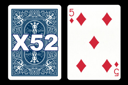 Forcing Bicycle Deck (5 of Diamonds) Forcing Bicycle Deck (5 of Diamonds)
