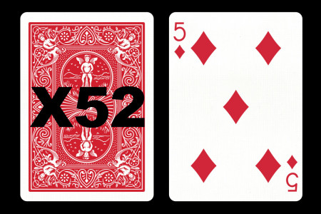 Forcing Bicycle Deck (5 of Diamonds) Forcing Bicycle Deck (5 of Diamonds)