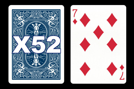 Forcing Bicycle Deck (7 of Diamonds) Forcing Bicycle Deck (7 of Diamonds)