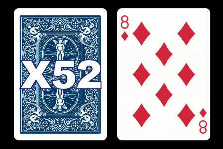 Forcing Bicycle Deck (8 of Diamonds) Forcing Bicycle Deck (8 of Diamonds)