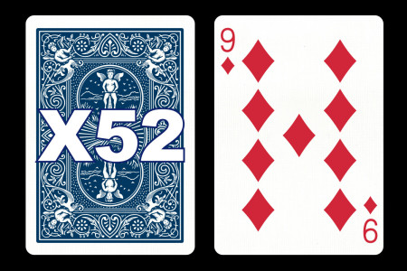 Forcing Bicycle Deck (9 of Diamonds)