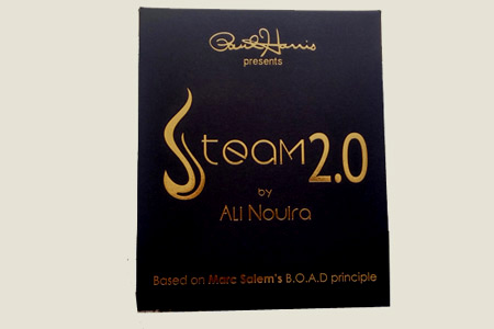 Steam 2.0 - ali nouira