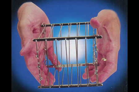 Cage à Disparition à vue