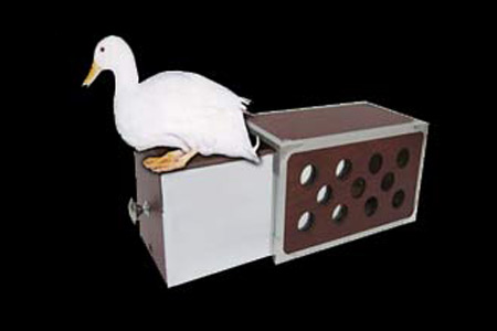 Fire drawer box Géante (trouée)