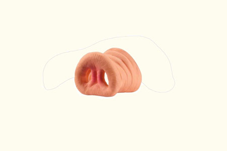 Nez de cochon/porc Museau Masque