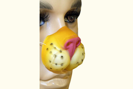 Nez de tigre en masque (Masque truffe d'animal)