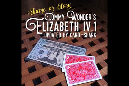 Elizabeth VI.1 (Shame or Glory) - tommy wonder