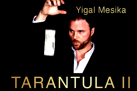 Tarantula II - yigal mesika